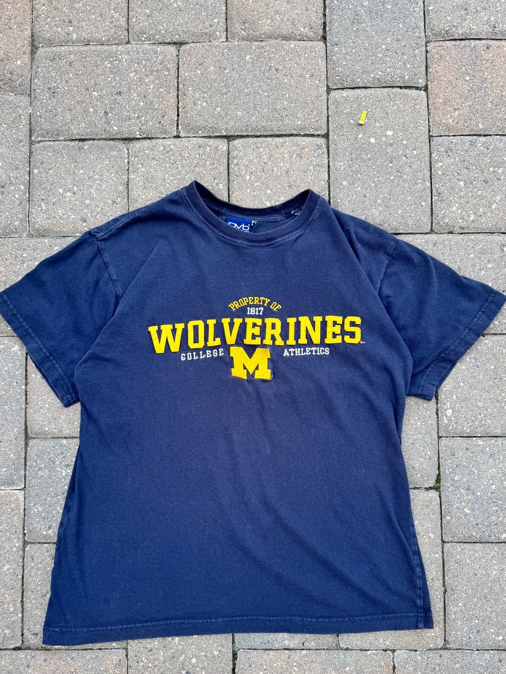 Vintage Y2K Michigan Wolverines Embroidered Heavyweight Tee Large